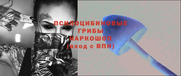 винт Лабытнанги