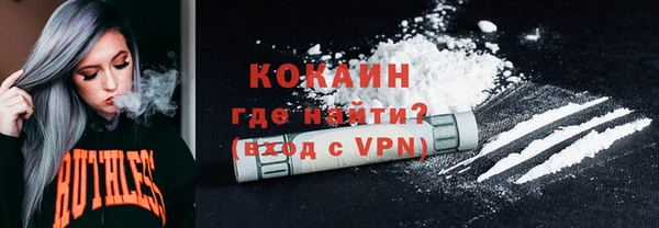 винт Лабытнанги
