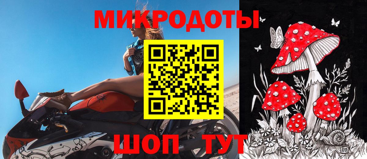 Псилоцибиновые грибы GOLDEN TEACHER  Великий Новгород  Псилоцибиновые грибы MAGIC MUSHROOMS 