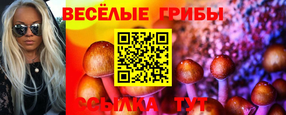 Великий Новгород  Галлюциногенные грибы Cubensis  купить   Вход с VPN 